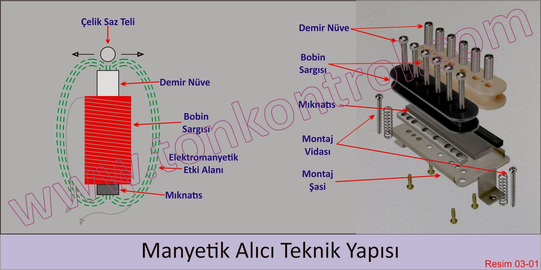 Τεχνική δομή μαγνήτη: ατσάλινη χορδή σάζι, σιδερένιος πυρήνας, τύλιγμα πηνίου, μαγνήτης και πεδίο ηλεκτρομαγνητικής επίδρασης